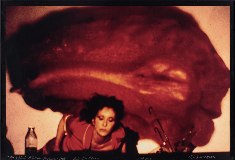 Carolee Schneemann.jpg