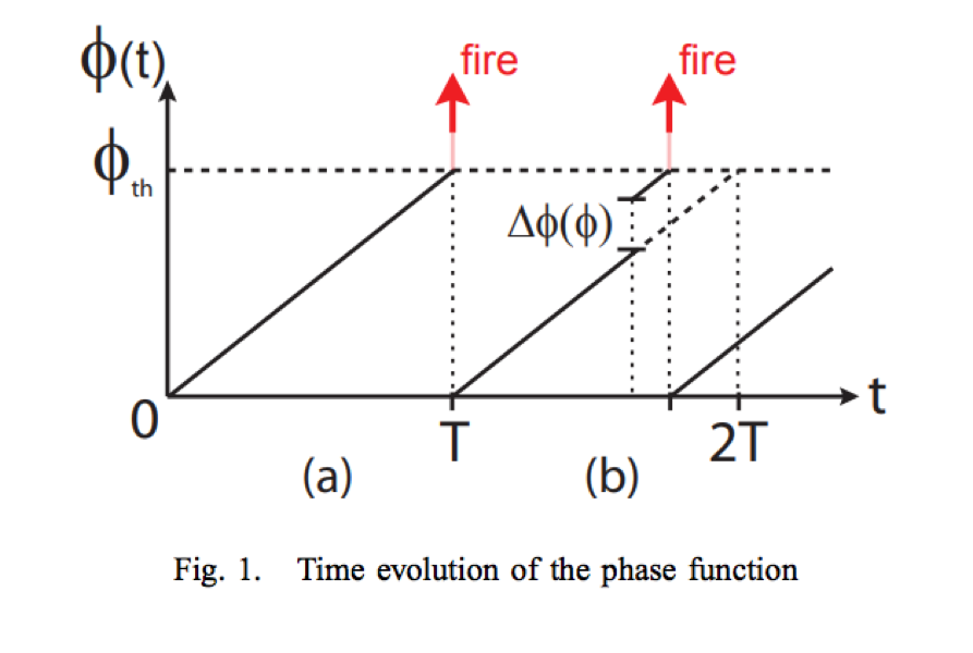 phase function