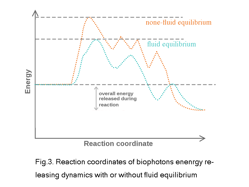 fig.3