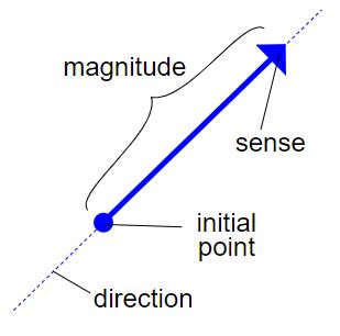 euclidian vector